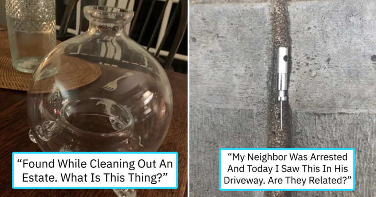 25 People On The Internet Who Asked: “What Is This Thing?” And Received Surprising Answers