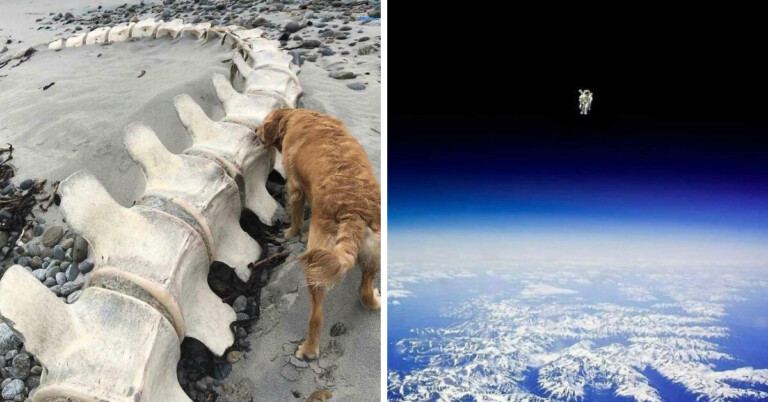 People Share Photos Of Enormous Objects In This Online Megalophobia Group (20 Pics)