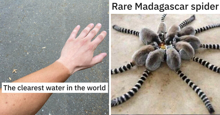 Uh, Look Again—People Post Photos With Misleading Captions In This Online Group (20 Pics)