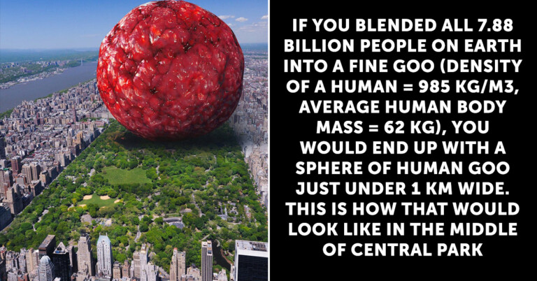 No One Asked, But They Did The Math Anyway (17 Pics)