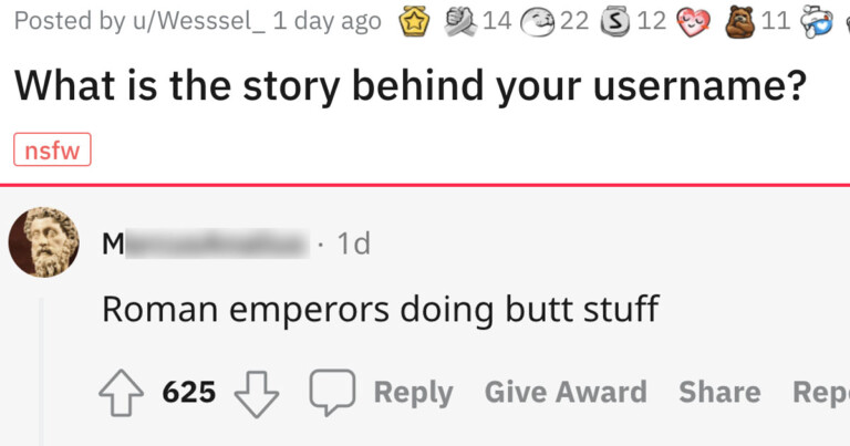 Redditors With Funny Usernames Share The Story Behind Them (20 Posts)