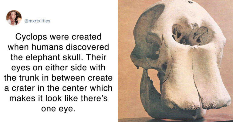 Twitter Thinks There’s A Chance These Myths Started Because People Didn’t Have Glasses