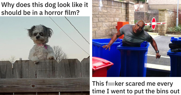 17 Times People Got Spooked Until They Realized Their Eyes Deceived Them