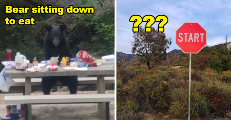 20 Real-Life Photos That Look Just A Little Bit… Off