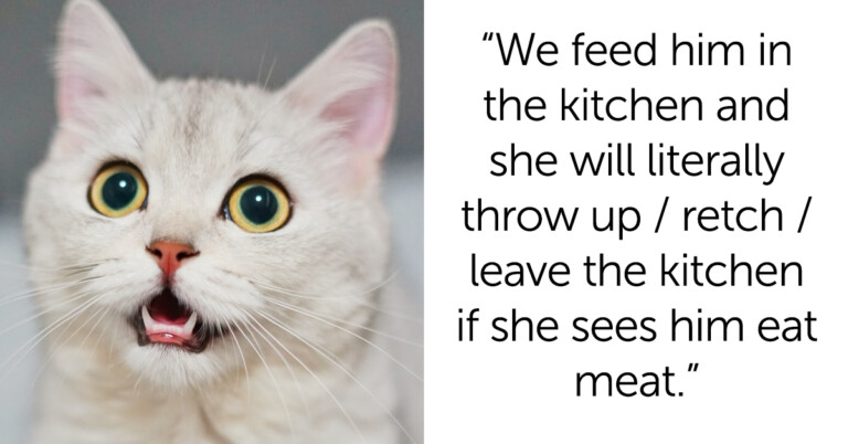 Woman Asks If She’s Wrong To Forbid Her Vegan Stepdaughter From Forcing Vegan Diet On Cat