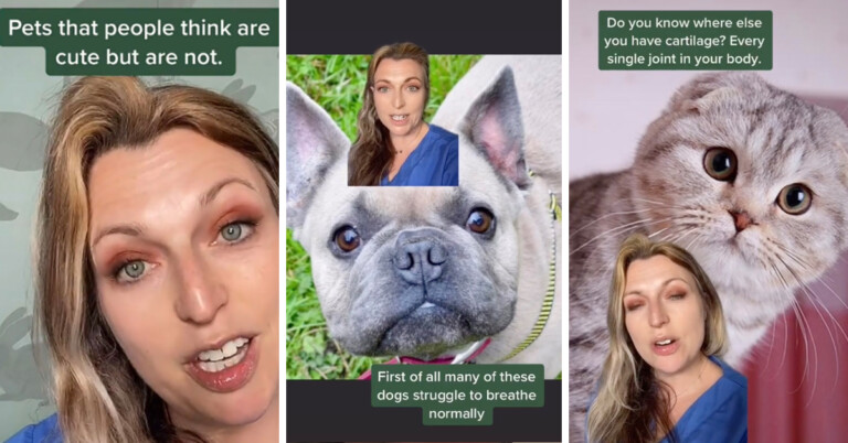 Vet Explains Why Some ‘Cute’ Pet Breeds Aren’t Really Cute At All