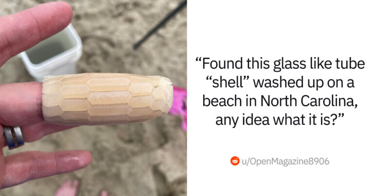 30+ Times People Asked The Internet “What Is This Thing?” And The Internet Delivered