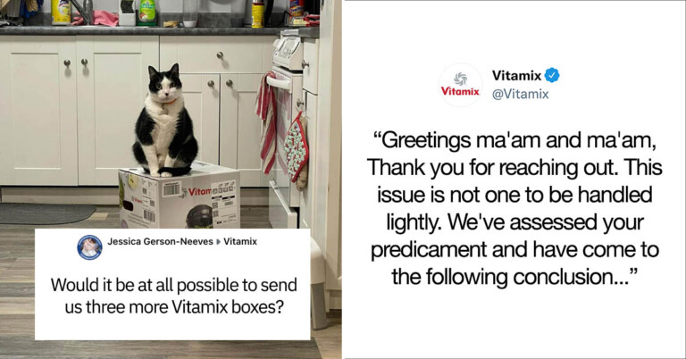 Couple Buys Vitamix Blender, Then After 3-Week “War” With Cats, Has To Ask Company For Help — A Viral Thread