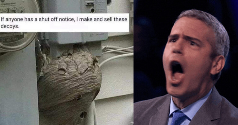 Every Time I Think I’ve Seen Everything For Sale Online, Items Like These Keep Me On My Toes (25 Pics)