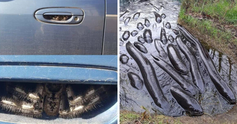 Nature Can Be Pretty Terrifying (20 Pics)