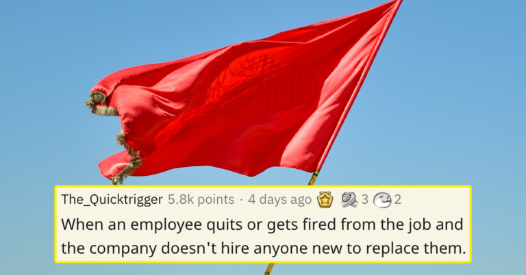 People Are Sharing Somewhat Surprising Job Red Flags (19 Posts)