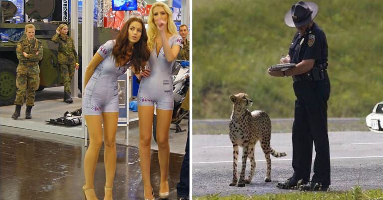 Uhh, Yea, I’m Gonna Need Some Context For These Photos (50+ Pics)