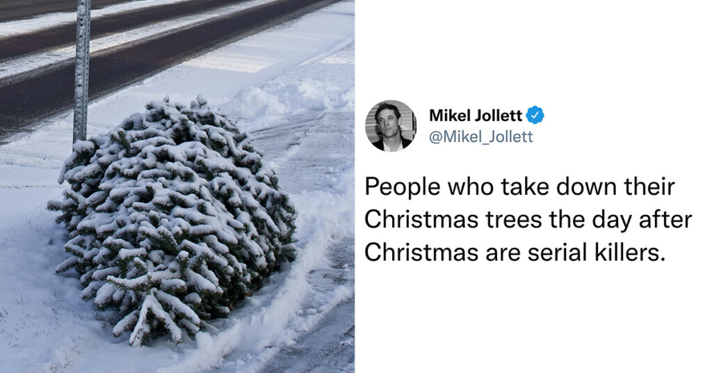 Don't Worry If You Haven't Taken Your Tree Down, You're Actually