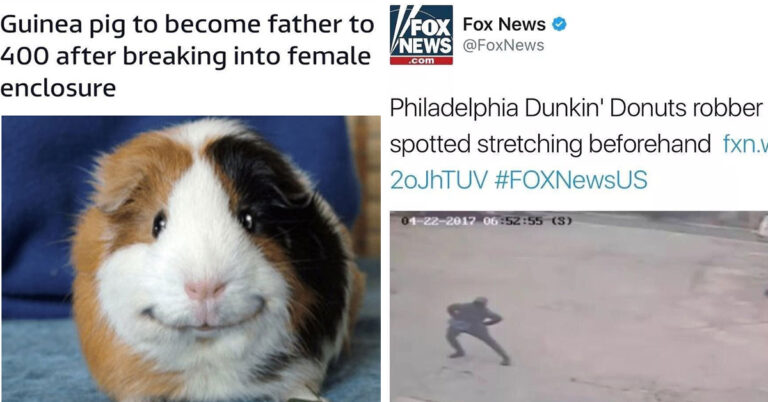 Instagram Account Collects Hilarious Headlines, Here Are Some Of The Best (20 Pics)