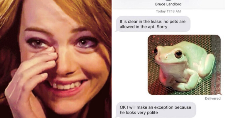 “Well That Was Unexpectedly Wholesome” (20 Pics)