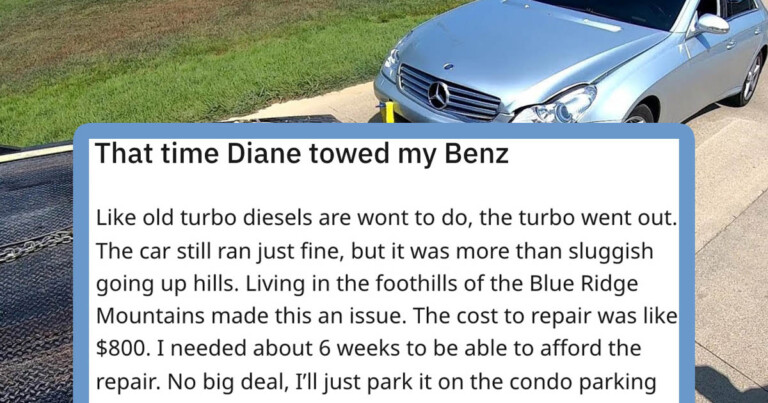Woman Pretending To Be On HOA Board Gets Guy’s Benz Towed, Then He Gets Pro Revenge By Suing Her