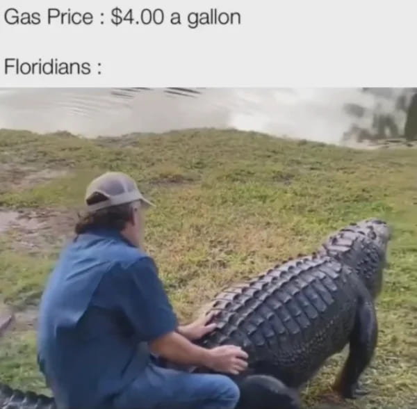 gas meme - florida