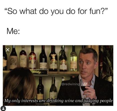 wine memes - so-what-do-you-do-for-fun-me-redwining-my-only-interests-are-drinking-wine-and-judging-people