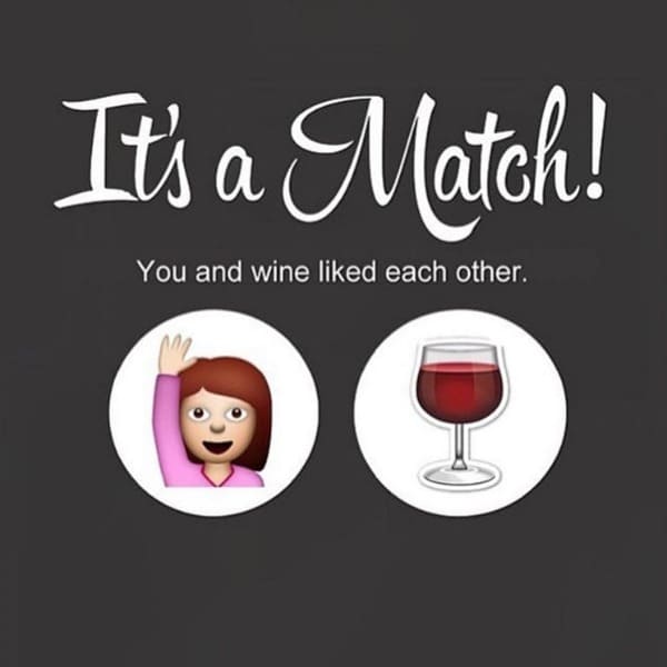 Wine Meme - it's a match you wine