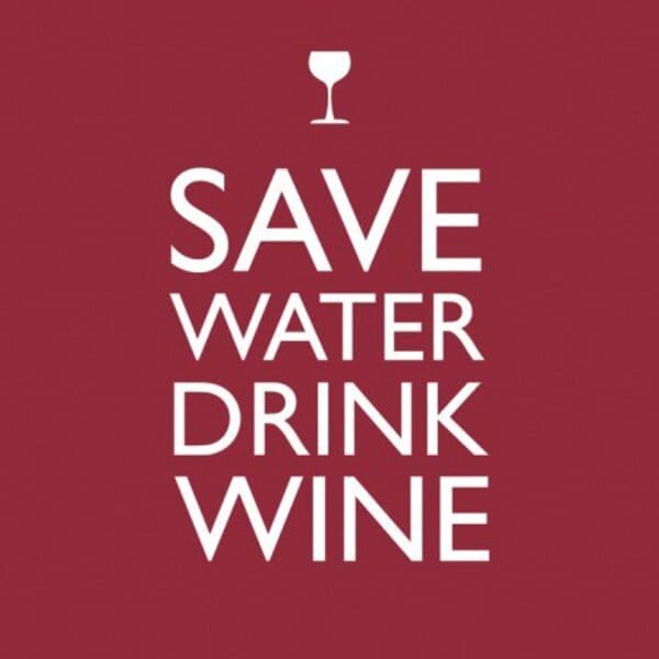 Wine Meme - save water drink wine