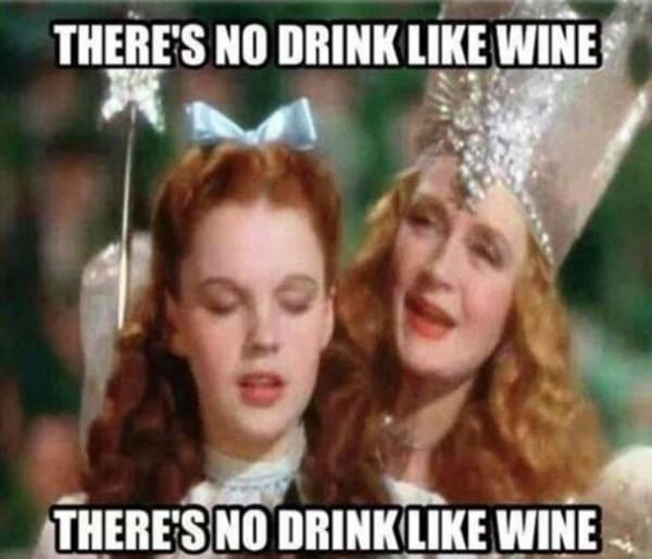 Wine Meme - there's no drink like wine