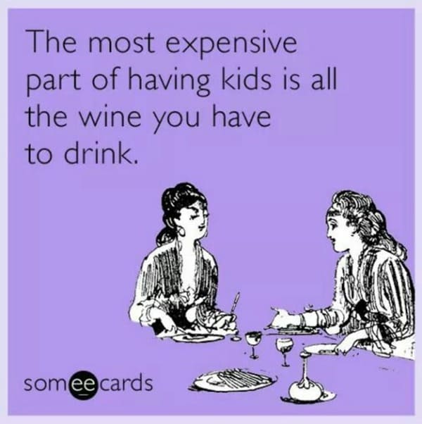 Wine Meme - expensive part of having kids