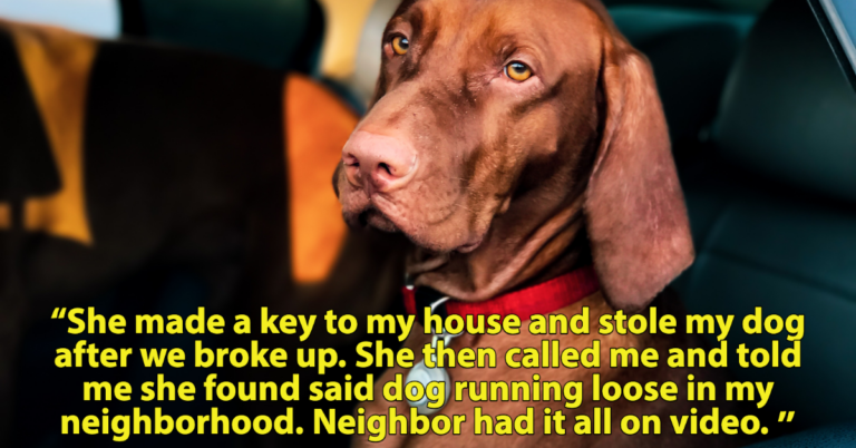 People Reveal The Craziest Thing An Ex Friend Or Lover Has Done (17 Stories)