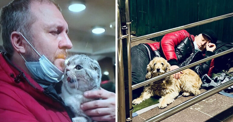 People In Ukraine Are Holding Their Pets Tight For Comfort (20 Pics)