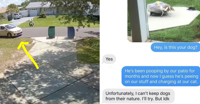 23 Shameful Times Entitled Neighbors Definitely Crossed The Line