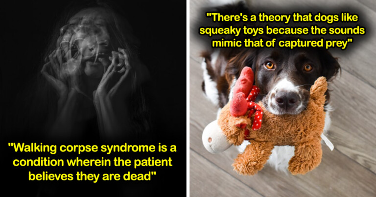 People Are Sharing ‘Creepy Facts’ And Yep, They’re Creepy (20 Posts)