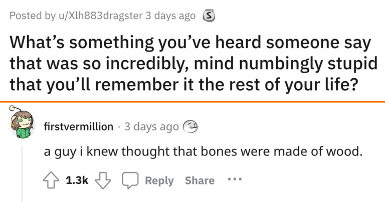 People Share The Most Blindingly Stupid Things They’ve Heard Someone Say Out Loud (20 Posts)