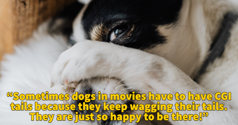 People Share Comforting Facts To Help You Cope With This Nightmare World (20 Facts)