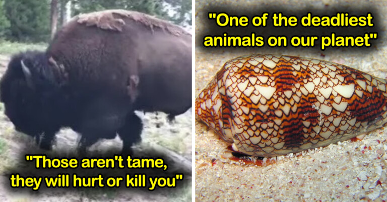 Things You May Not Realize Can Seriously Mess You Up (20 Posts)