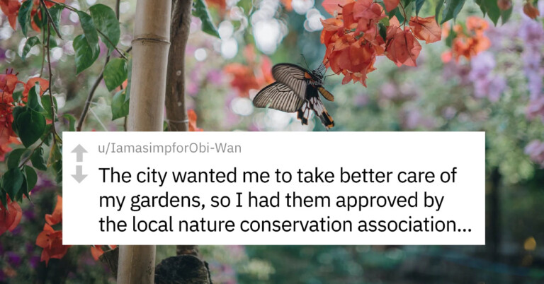 Homeowner Maliciously Complies When City Asks Them To Take Better Care Of Their Gardens