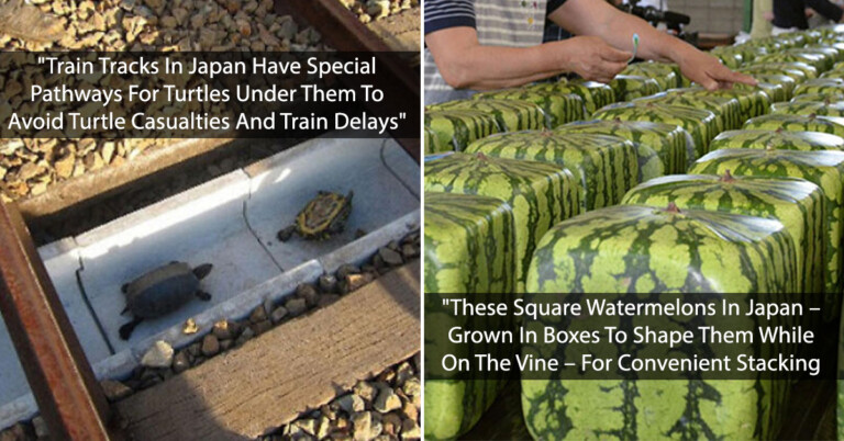 People Are Sharing Interesting Facts About Life In Japan (30 Pics)