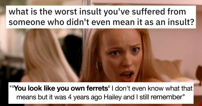 People Share The Most Brutal Insults They’ve Gotten From People Who Didn’t Even Mean Them (20 Insults)
