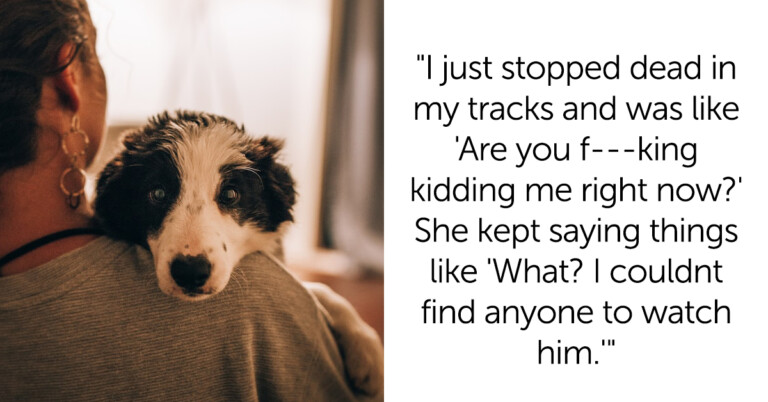 Woman Asks If She’s A Jerk For Canceling $4,000 Pet-Free Airbnb After Sister-In-Law Shows Up With Dog