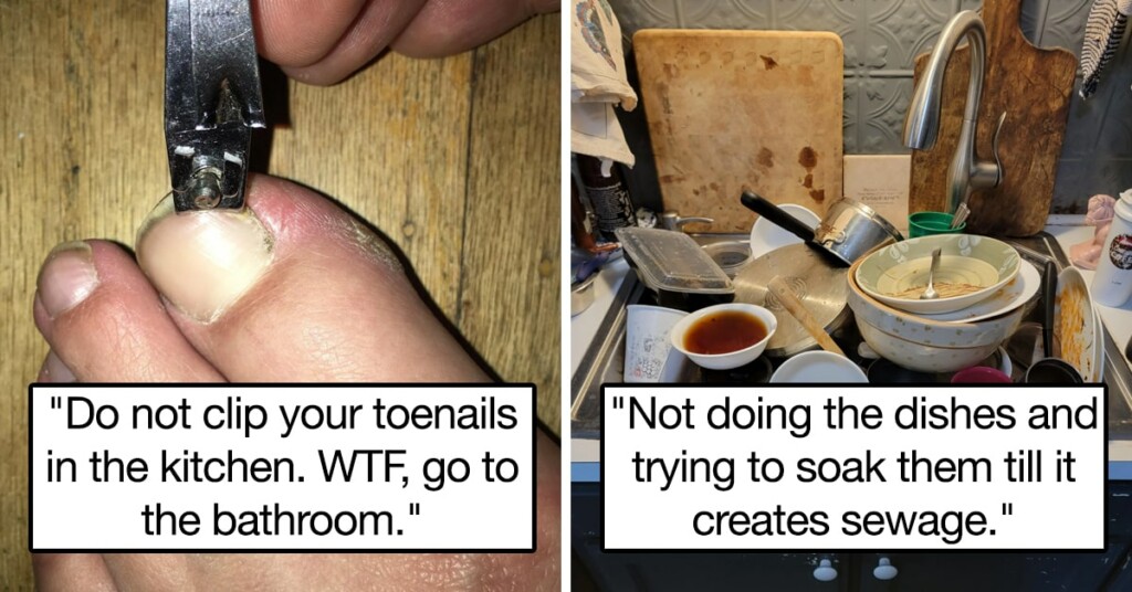 People Are Sharing The Biggest Roommate Pet Peeves So Take Some Notes, Guys (18 Posts)