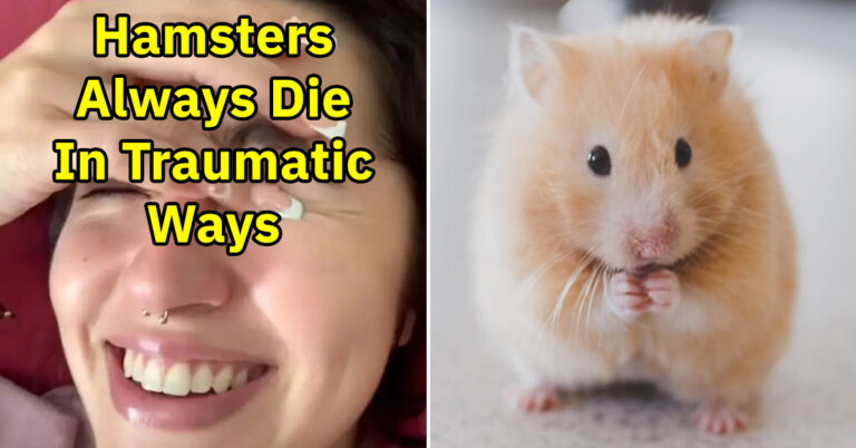 “I Ain’t Ever Heard A Normal Story About How A Hamster Died” – Thousands Of People Have Shared The Traumatic Ways Their Hamsters Died