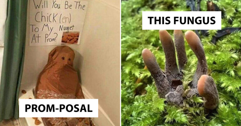 Sorry, But Now Is Just Not The Time For This Level Of Weird (23 Pics)