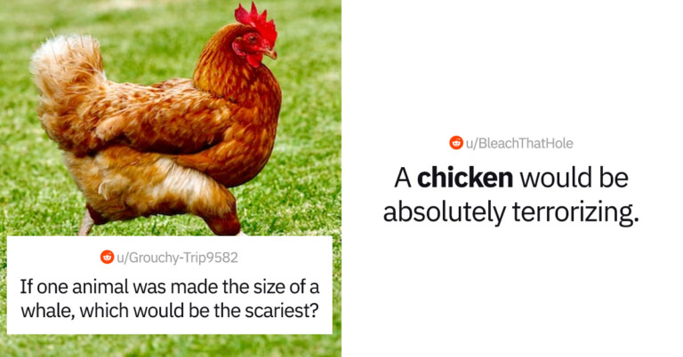 If One Animal Was Made The Size Of A Whale, Which Would Be The Scariest? (20 Replies)