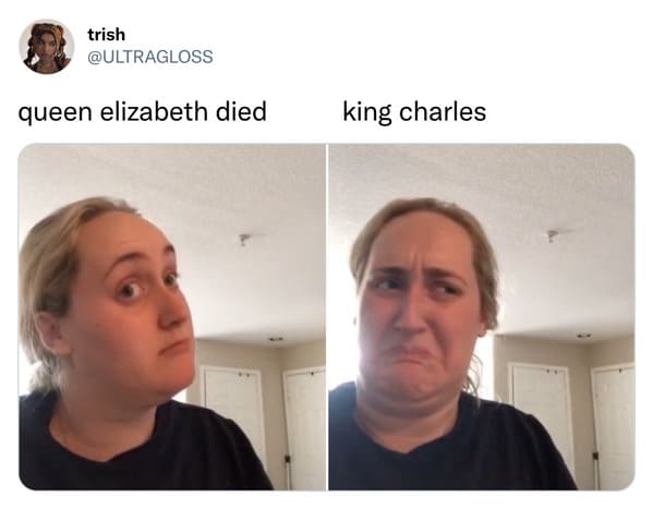 king charles memes - kombucha girl meme