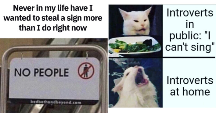 30 Funny Introvert Memes You Can Enjoy All By Yourself