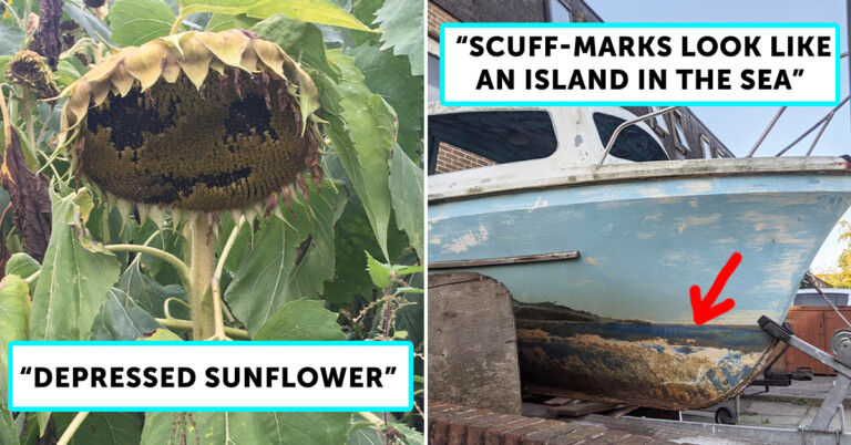 There’s A “Pareidolia” Group Dedicated To Pics Of Things That Look Like Other Things (25 Pics)