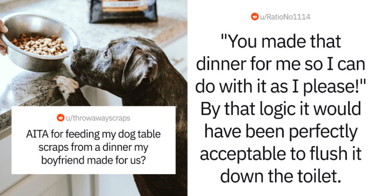 Woman Wants To Know If She’s Wrong For Feeding Her Dog Leftovers From A Meal Her Boyfriend Made Them