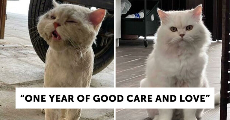 30 Interesting Comparison Photos That Reveal A New Perspective