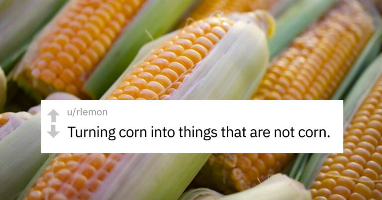 People Are Discussing Things America Does Metter Than Most Other Countries (25 Pics)