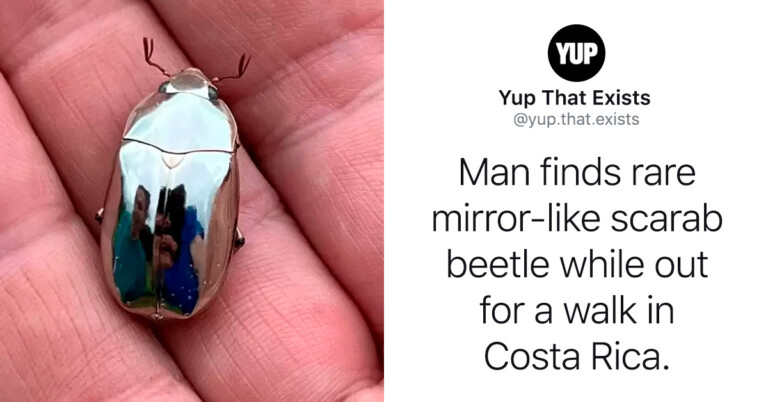 “Yup, That Exists” Instagram Shares Crazy Things That, Well, You Never Knew Existed (20 Pics)