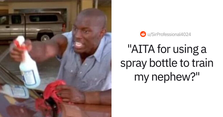 Aunt Asks If She’s Wrong To Use A Spray Bottle On Her Undisciplined Nephew As If He Were A Cat