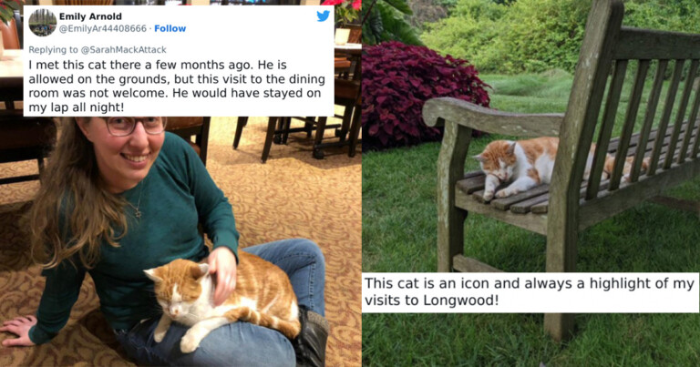 A Botanical Garden’s Designated Cat Goes Viral On Twitter After She Was Caught Being Escorted From The Premises